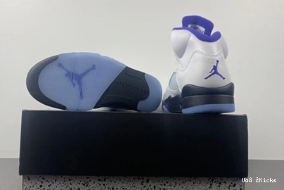 DD0587-141 Fashionable CONCORD Air Jordan5 587 0730
